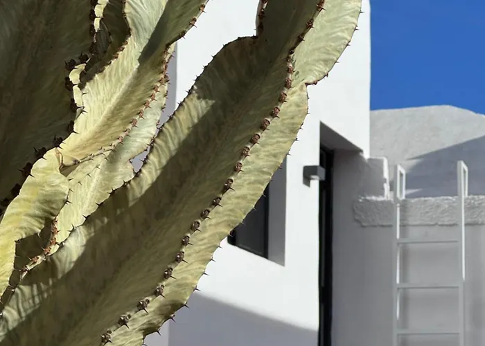 Casa Cactus Ocean View Tenerife South El Río