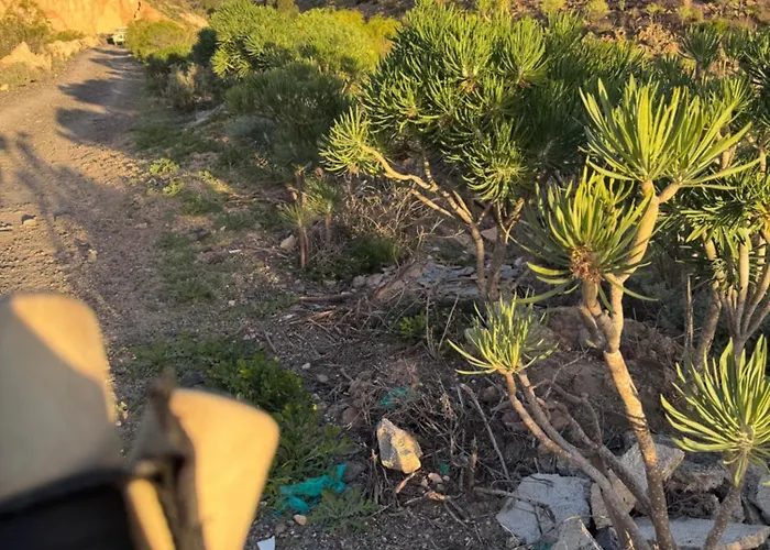 펜션 Casa Cactus Ocean View Tenerife South *