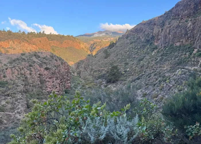 Casa Cactus Ocean View Tenerife South 펜션