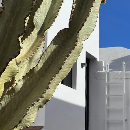 Casa Cactus Ocean View Tenerife South El Río