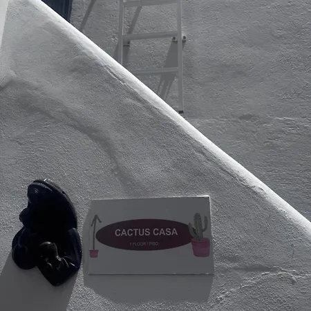 Ferienhaus Casa Cactus Ocean View Tenerife South